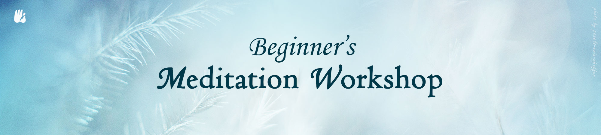 Beginner's Meditation Workshop