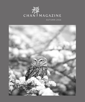 Chan Magazine - 2016 Autumn