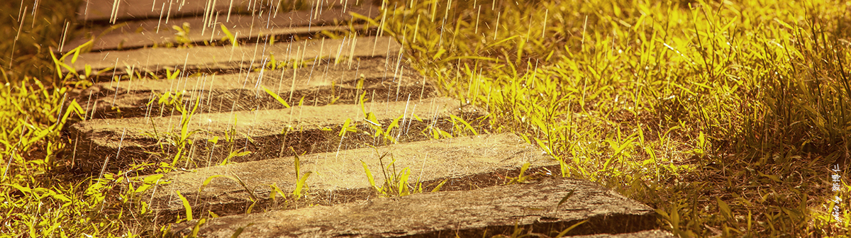 Free Books - Spiritual Growth