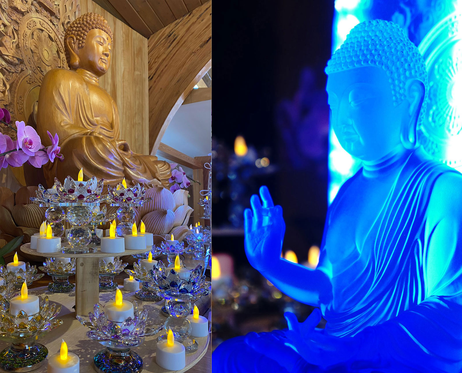 2021東初禪寺暨象岡道場共同啟動新春全球祈福系列線上共修